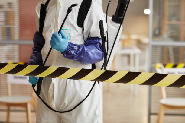 Professional Hoarding Cleanup technician working in Harrington Park, NJ